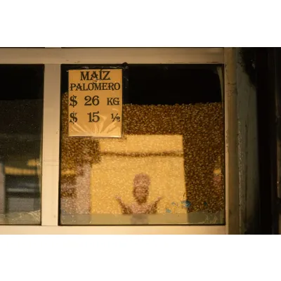 A-Grade Yellow Maize