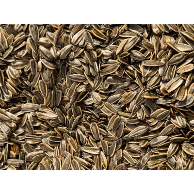 White Sunflower Seeds (1 tonne)