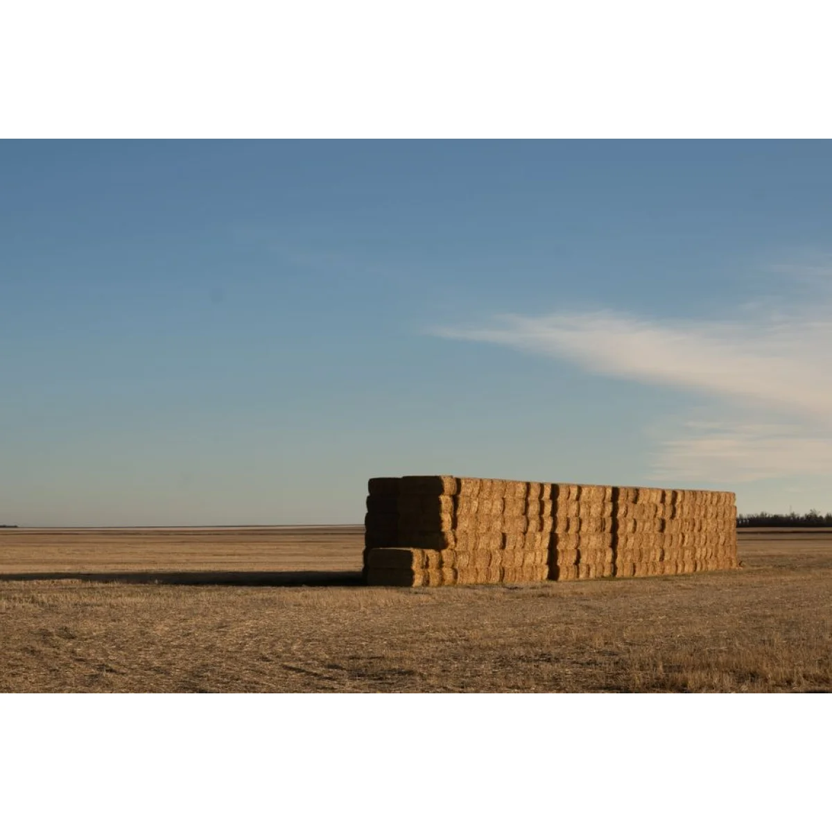 Square Hay Bales (Grade 1)